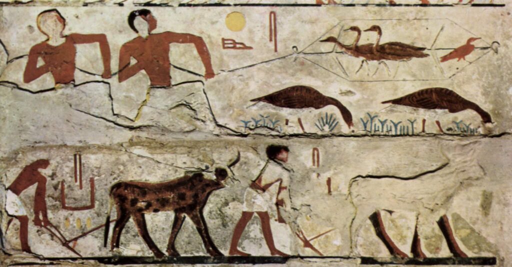 los egipcios (no) adoraban a los gatos como dioses
